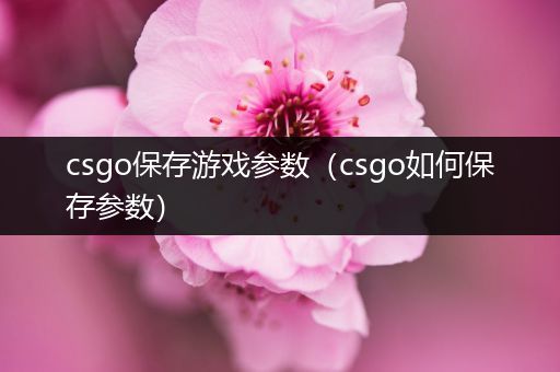 csgo保存游戏参数（csgo如何保存参数）