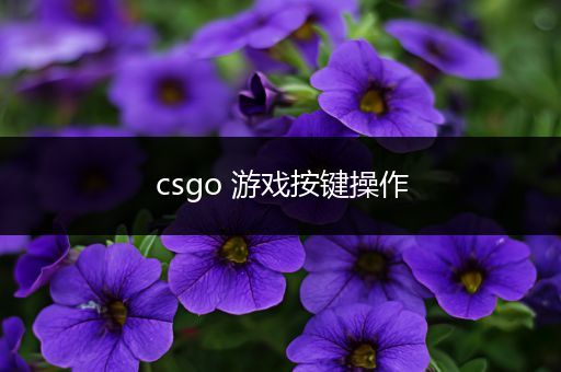 csgo 游戏按键操作