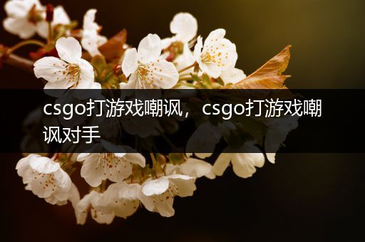 csgo打游戏嘲讽，csgo打游戏嘲讽对手