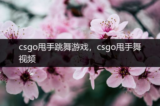 csgo甩手跳舞游戏，csgo甩手舞视频