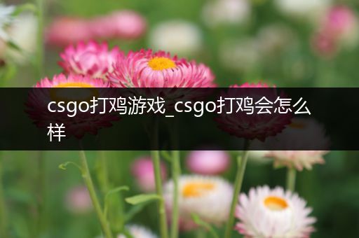 csgo打鸡游戏_csgo打鸡会怎么样