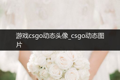 游戏csgo动态头像_csgo动态图片