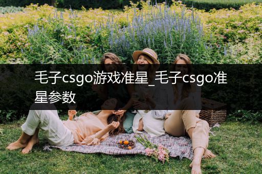 毛子csgo游戏准星_毛子csgo准星参数