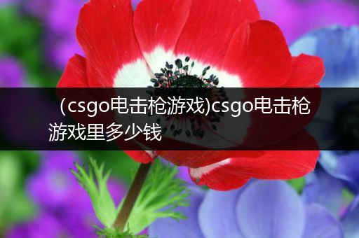 （csgo电击枪游戏)csgo电击枪游戏里多少钱