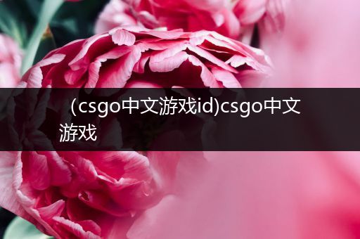 （csgo中文游戏id)csgo中文游戏