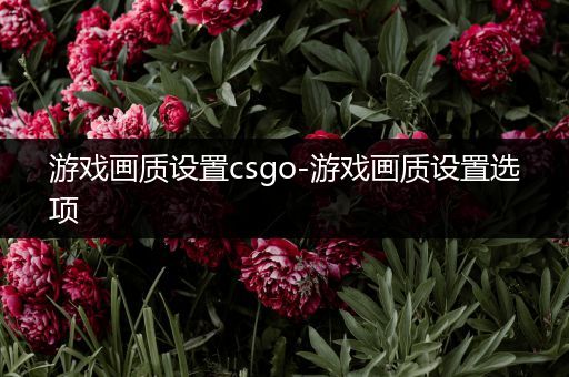 游戏画质设置csgo-游戏画质设置选项