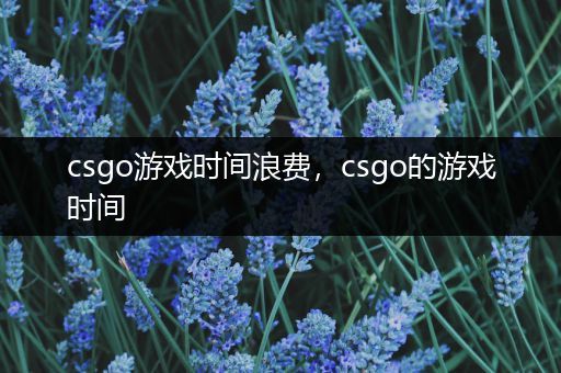 csgo游戏时间浪费，csgo的游戏时间