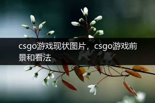 csgo游戏现状图片，csgo游戏前景和看法