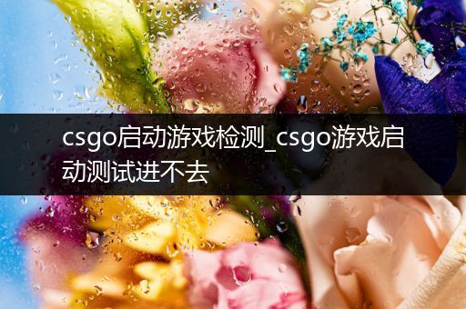 csgo启动游戏检测_csgo游戏启动测试进不去