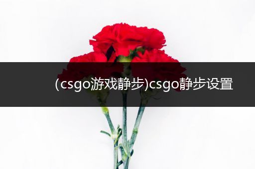 （csgo游戏静步)csgo静步设置