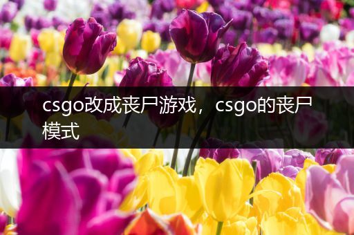 csgo改成丧尸游戏，csgo的丧尸模式