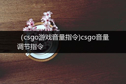 （csgo游戏音量指令)csgo音量调节指令