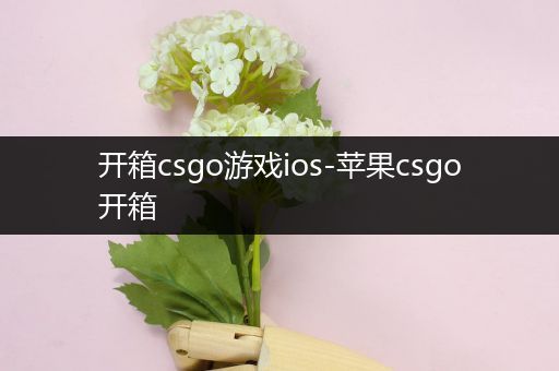 开箱csgo游戏ios-苹果csgo开箱