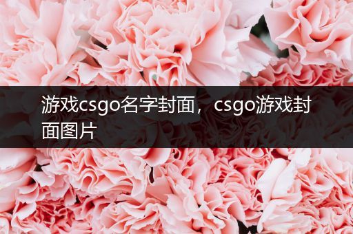 游戏csgo名字封面，csgo游戏封面图片