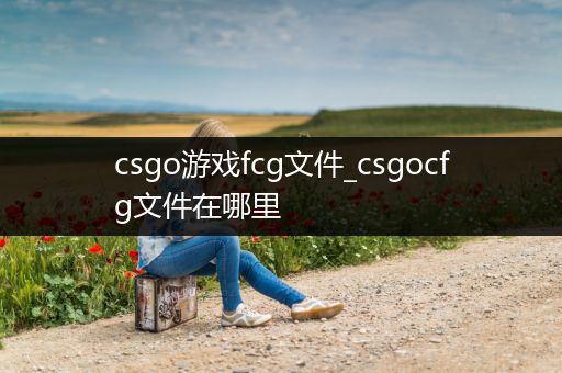 csgo游戏fcg文件_csgocfg文件在哪里