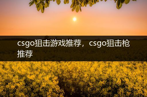 csgo狙击游戏推荐，csgo狙击枪推荐