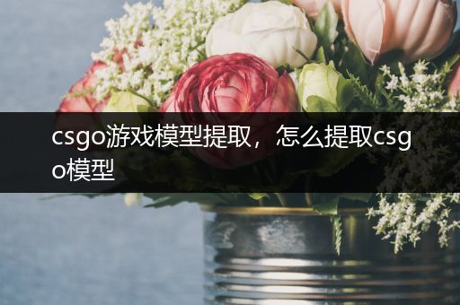 csgo游戏模型提取，怎么提取csgo模型