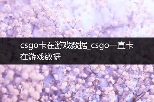 csgo卡在游戏数据_csgo一直卡在游戏数据