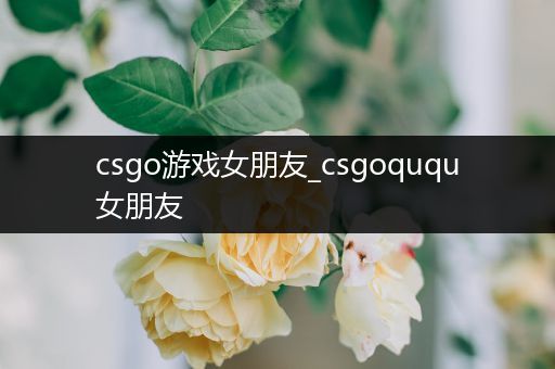 csgo游戏女朋友_csgoququ女朋友