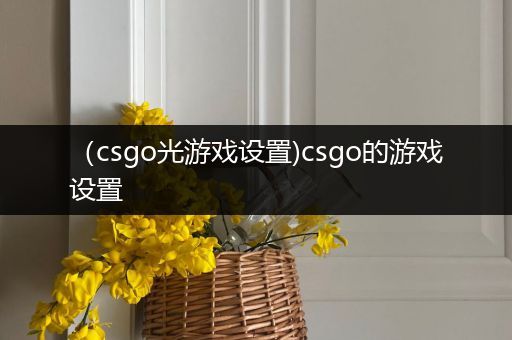 （csgo光游戏设置)csgo的游戏设置