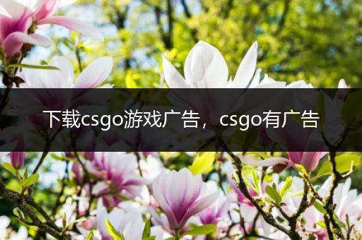 下载csgo游戏广告，csgo有广告