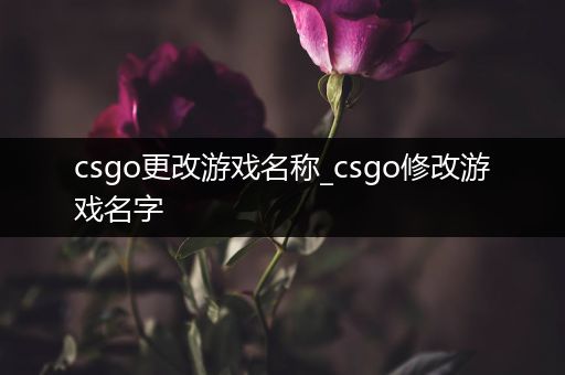 csgo更改游戏名称_csgo修改游戏名字