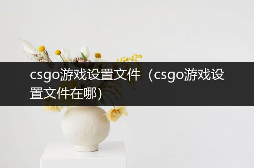 csgo游戏设置文件（csgo游戏设置文件在哪）