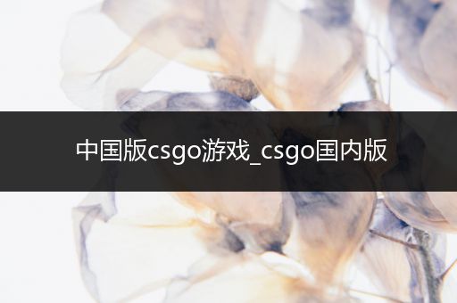 中国版csgo游戏_csgo国内版