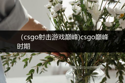 （csgo射击游戏巅峰)csgo巅峰时期