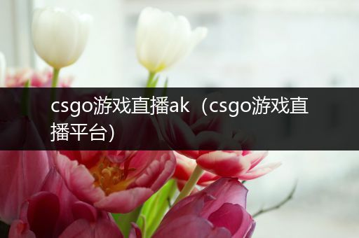 csgo游戏直播ak（csgo游戏直播平台）