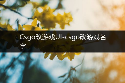 Csgo改游戏UI-csgo改游戏名字