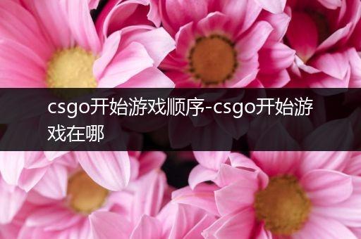 csgo开始游戏顺序-csgo开始游戏在哪