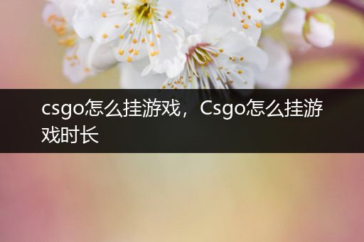 csgo怎么挂游戏，Csgo怎么挂游戏时长