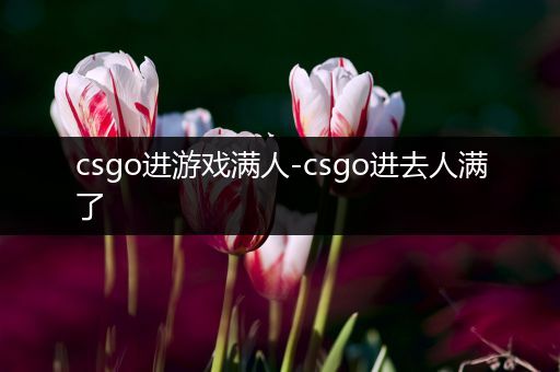 csgo进游戏满人-csgo进去人满了