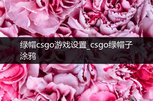 绿帽csgo游戏设置_csgo绿帽子涂鸦