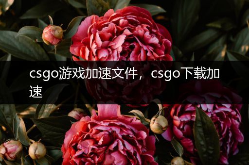 csgo游戏加速文件，csgo下载加速
