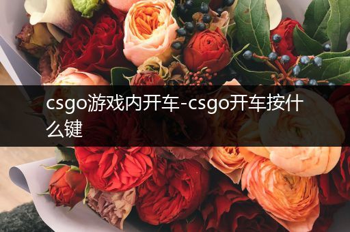 csgo游戏内开车-csgo开车按什么键