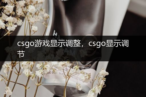 csgo游戏显示调整，csgo显示调节