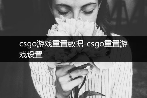 csgo游戏重置数据-csgo重置游戏设置