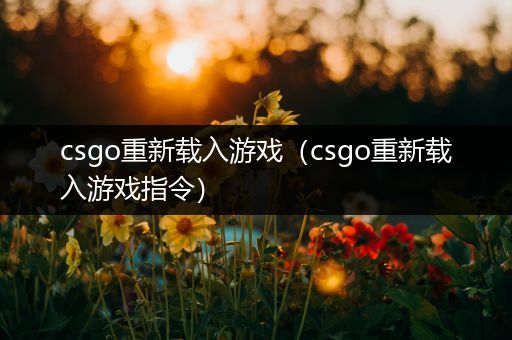 csgo重新载入游戏（csgo重新载入游戏指令）