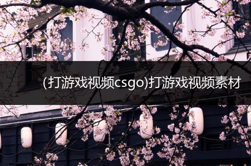 （打游戏视频csgo)打游戏视频素材