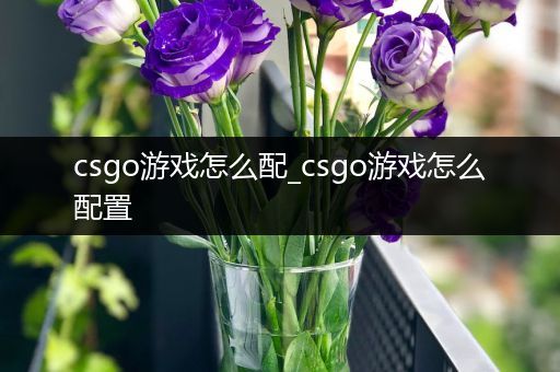 csgo游戏怎么配_csgo游戏怎么配置