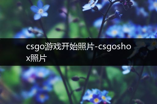 csgo游戏开始照片-csgoshox照片