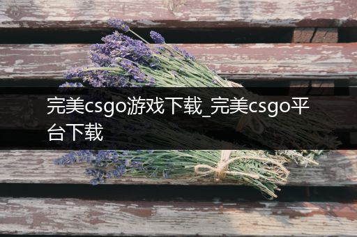 完美csgo游戏下载_完美csgo平台下载