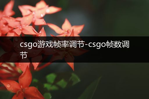 csgo游戏帧率调节-csgo帧数调节