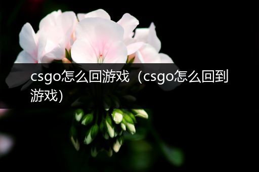 csgo怎么回游戏（csgo怎么回到游戏）