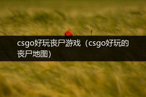 csgo好玩丧尸游戏（csgo好玩的丧尸地图）