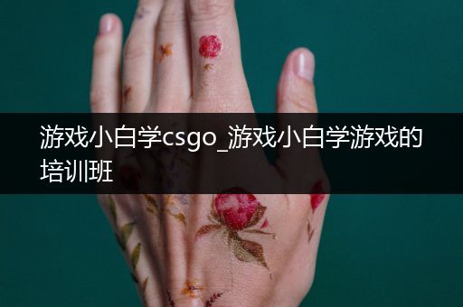 游戏小白学csgo_游戏小白学游戏的培训班