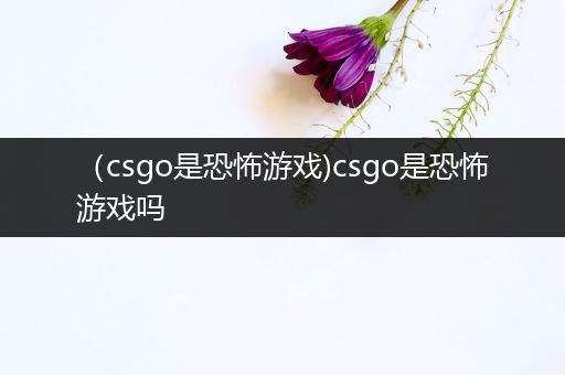 （csgo是恐怖游戏)csgo是恐怖游戏吗