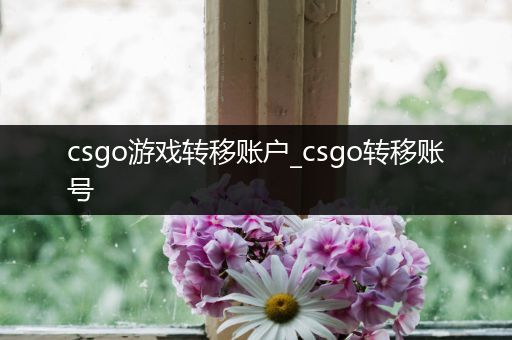 csgo游戏转移账户_csgo转移账号